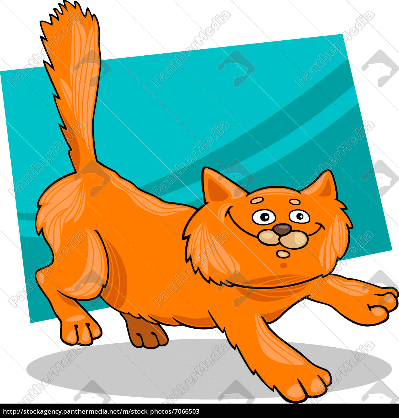 Lauft Rot Flauschige Katze Stockfoto 7066503 Bildagentur Panthermedia