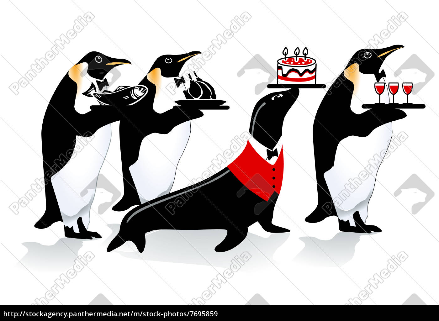 Pinguin Geburtstag Lizenzfreies Bild Bildagentur Panthermedia