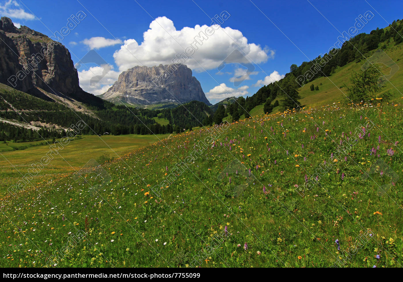 Alpen Berge Gebirge Natur Landschaft Berglandschaft Stockfoto Bildagentur Panthermedia