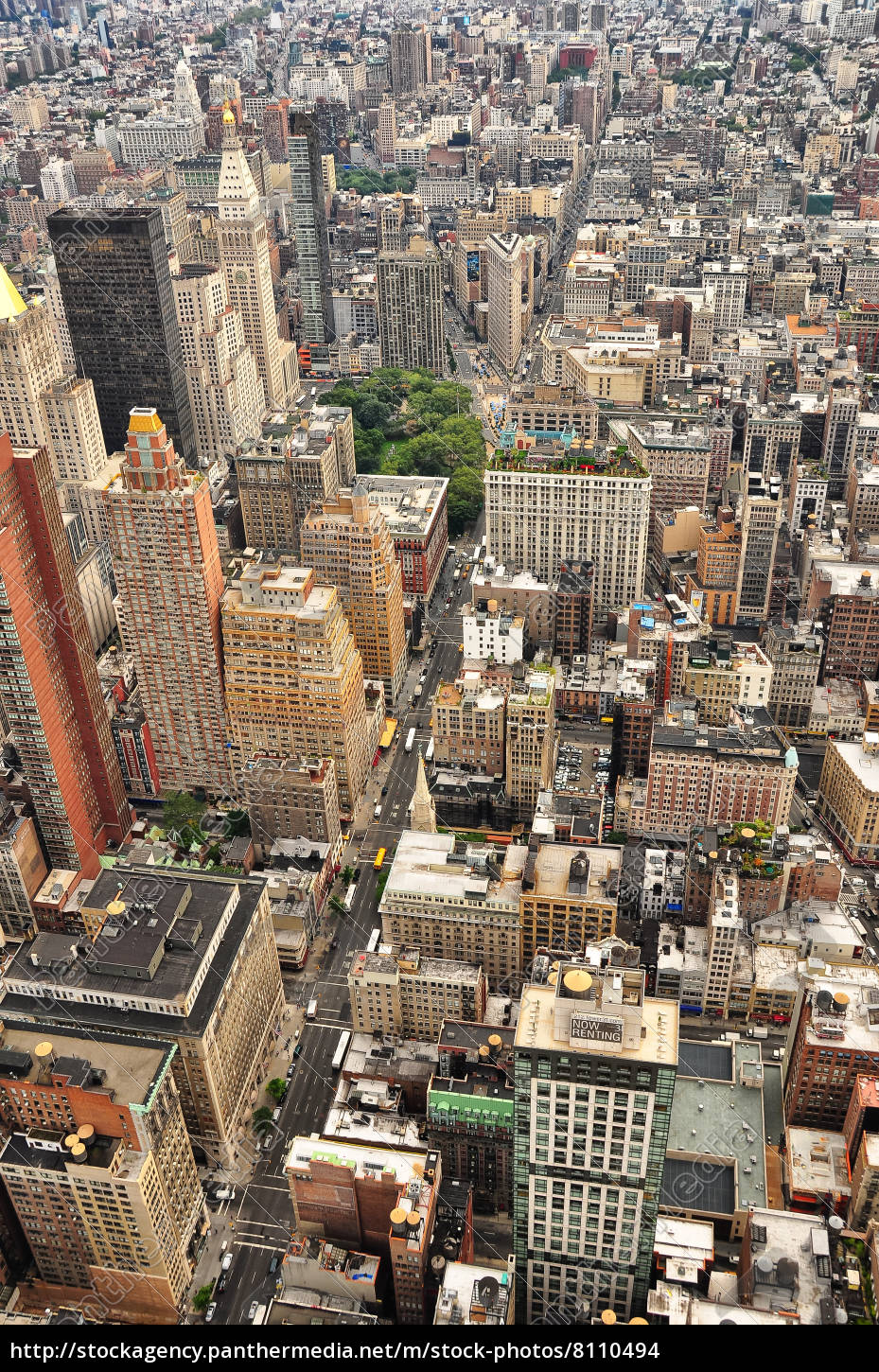 New York Strassen Vogel Anzeigen Stockfoto Bildagentur Panthermedia