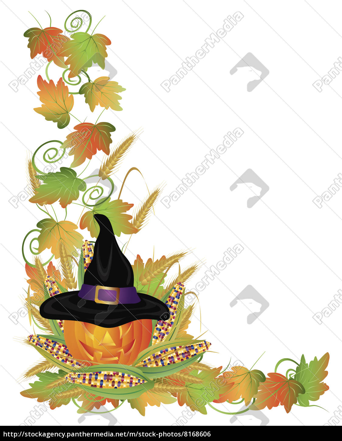 Halloween Kurbis Jack O Laterne Und Reben Grenze Stock Photo 8168606 Bildagentur Panthermedia