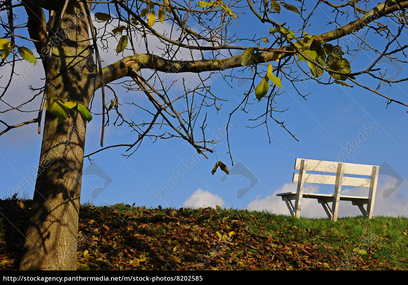 Bank Im Herbst Stockfoto Bildagentur Panthermedia