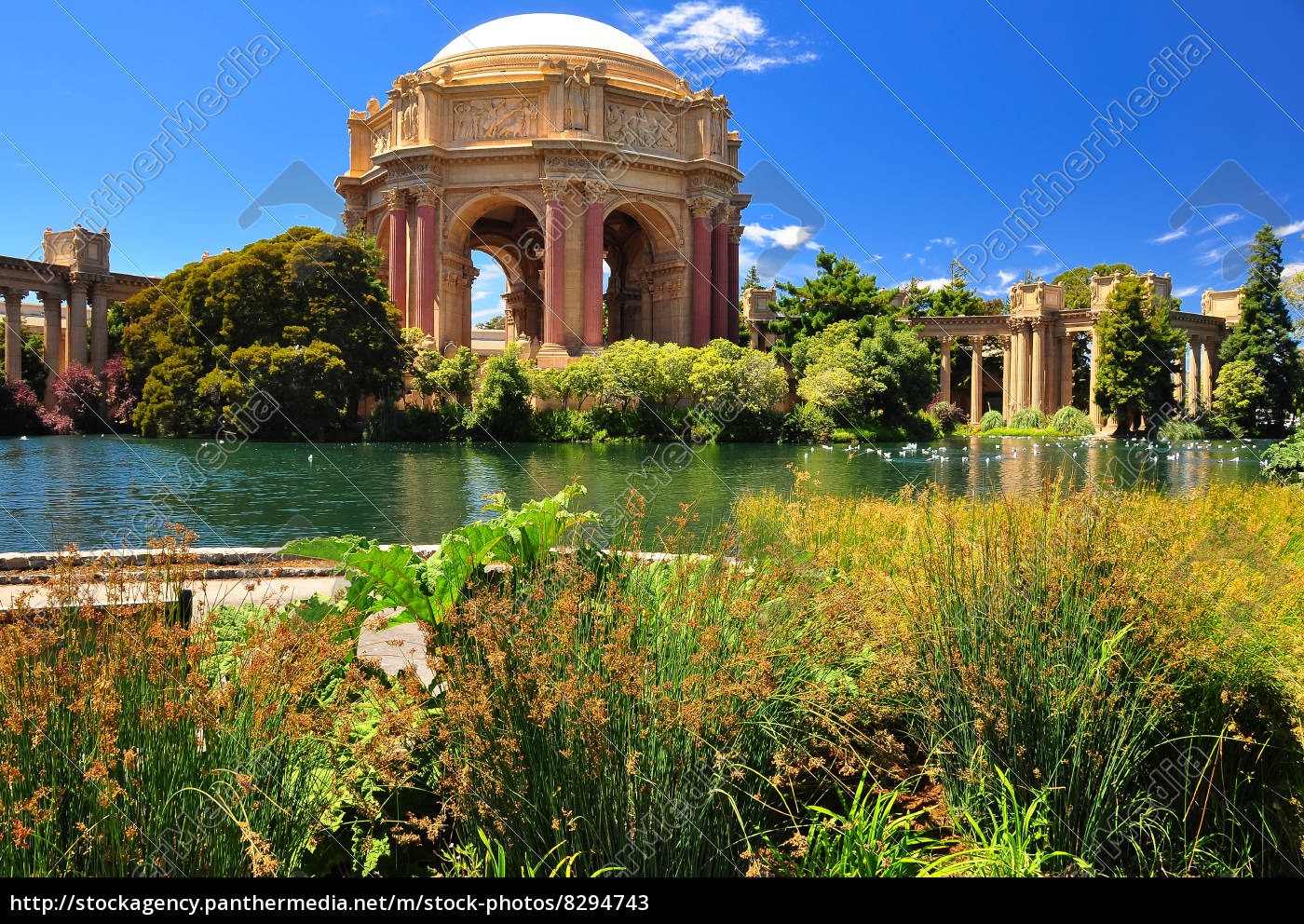 San Francisco Park Palace Of Fine Arts Lizenzfreies Bild Bildagentur Panthermedia