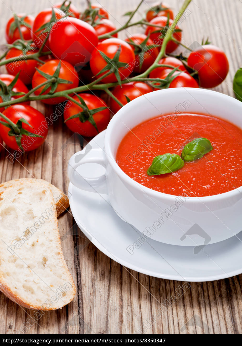 Frische tomatensuppe in einer weißen suppentasse mit - Stockfoto ...
