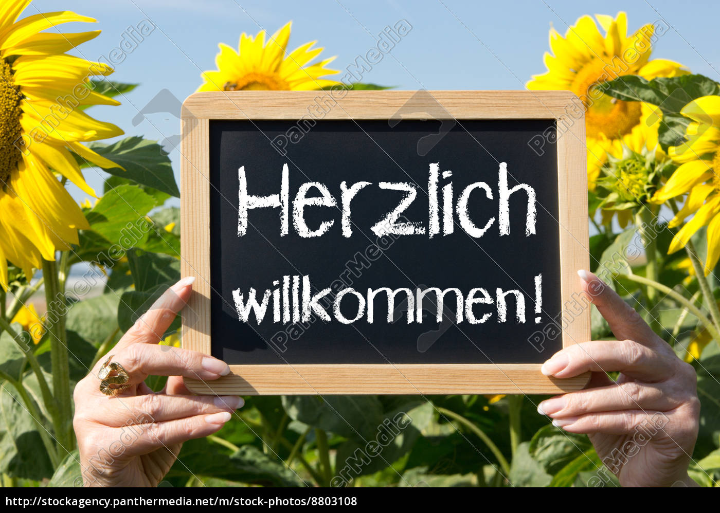 Herzliches Willkommen