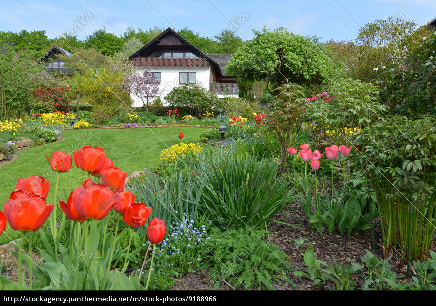 Schoner Garten Im Fruhling Stock Photo 9188966 Bildagentur