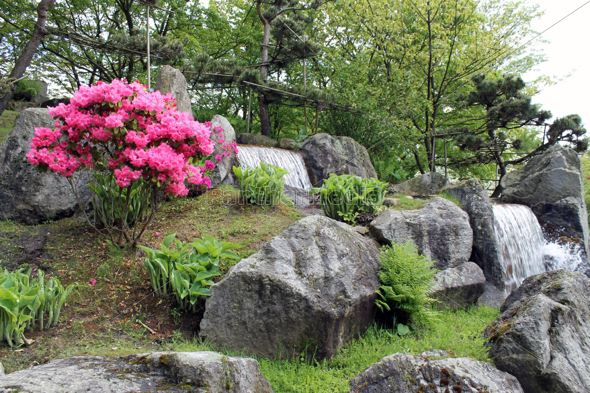 Wasserfall Im Japanischen Garten Von Hasselt Belgien