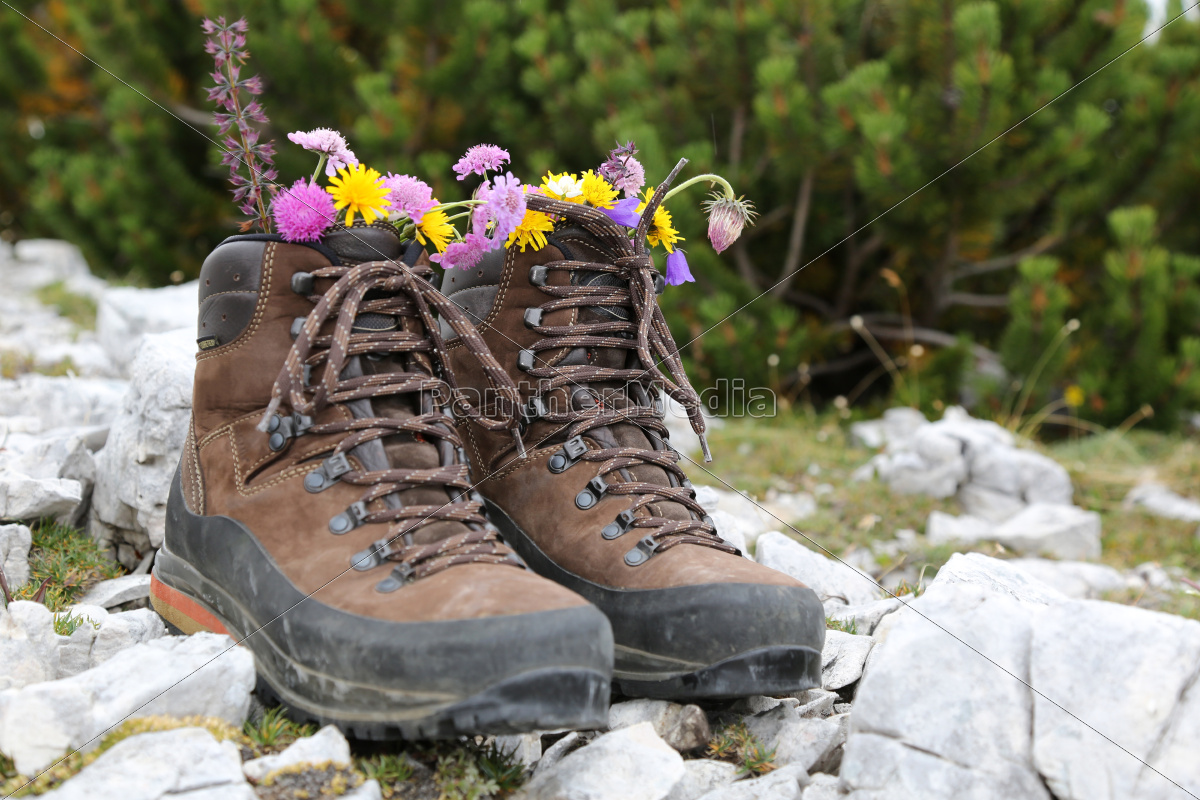 Wanderschuhe Mit Blumen In Den Bergen Lizenzfreies Bild Bildagentur Panthermedia