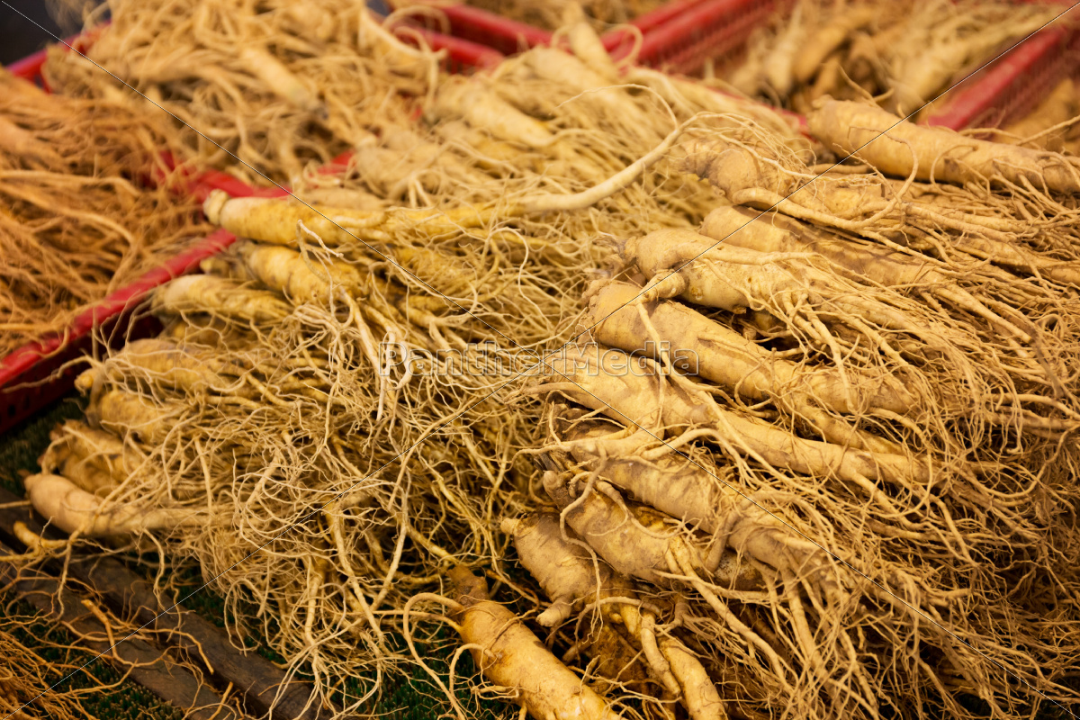 Ginseng for sell in food market Lizenzfreies Bild 10520327