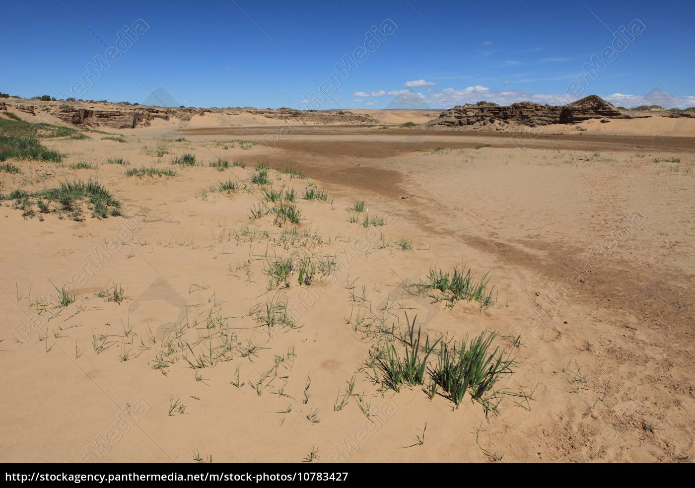 Oase In Der Wuste Gobi Lizenzfreies Bild Bildagentur Panthermedia