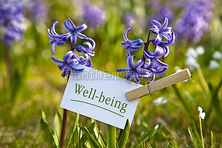 Well-being - Stockfoto - #11063985 | Bildagentur PantherMedia