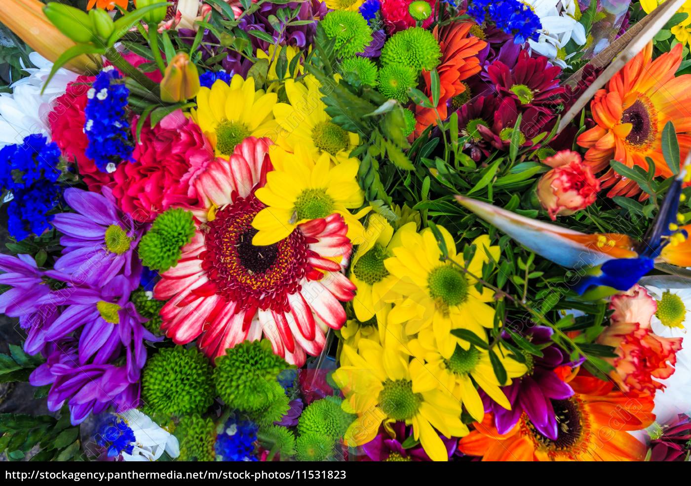 Bunter Blumenstrauss Stockfoto Bildagentur Panthermedia