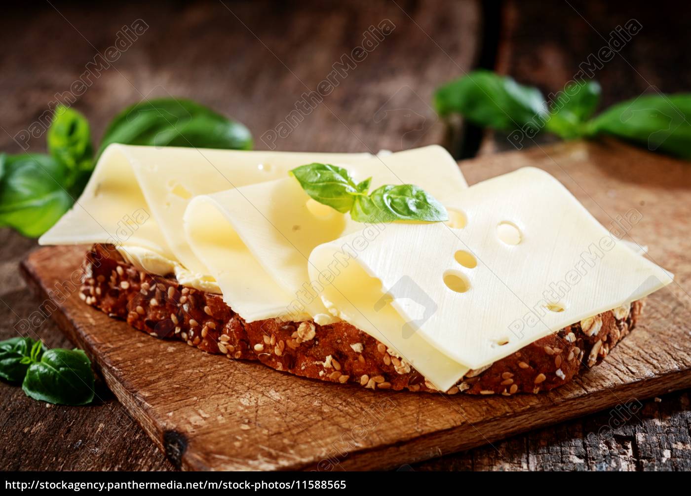 gouda-käse auf vollkorn brot - Stockfoto - #11588565 | Bildagentur ...