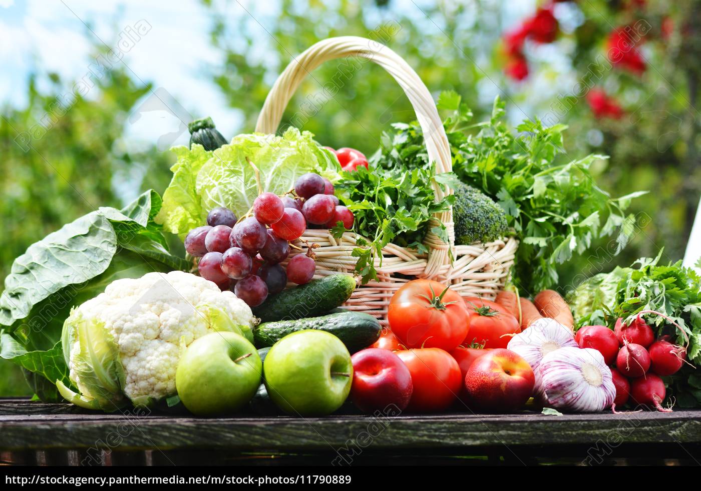 frische biogemüse im weidenkorb im garten Lizenzfreies