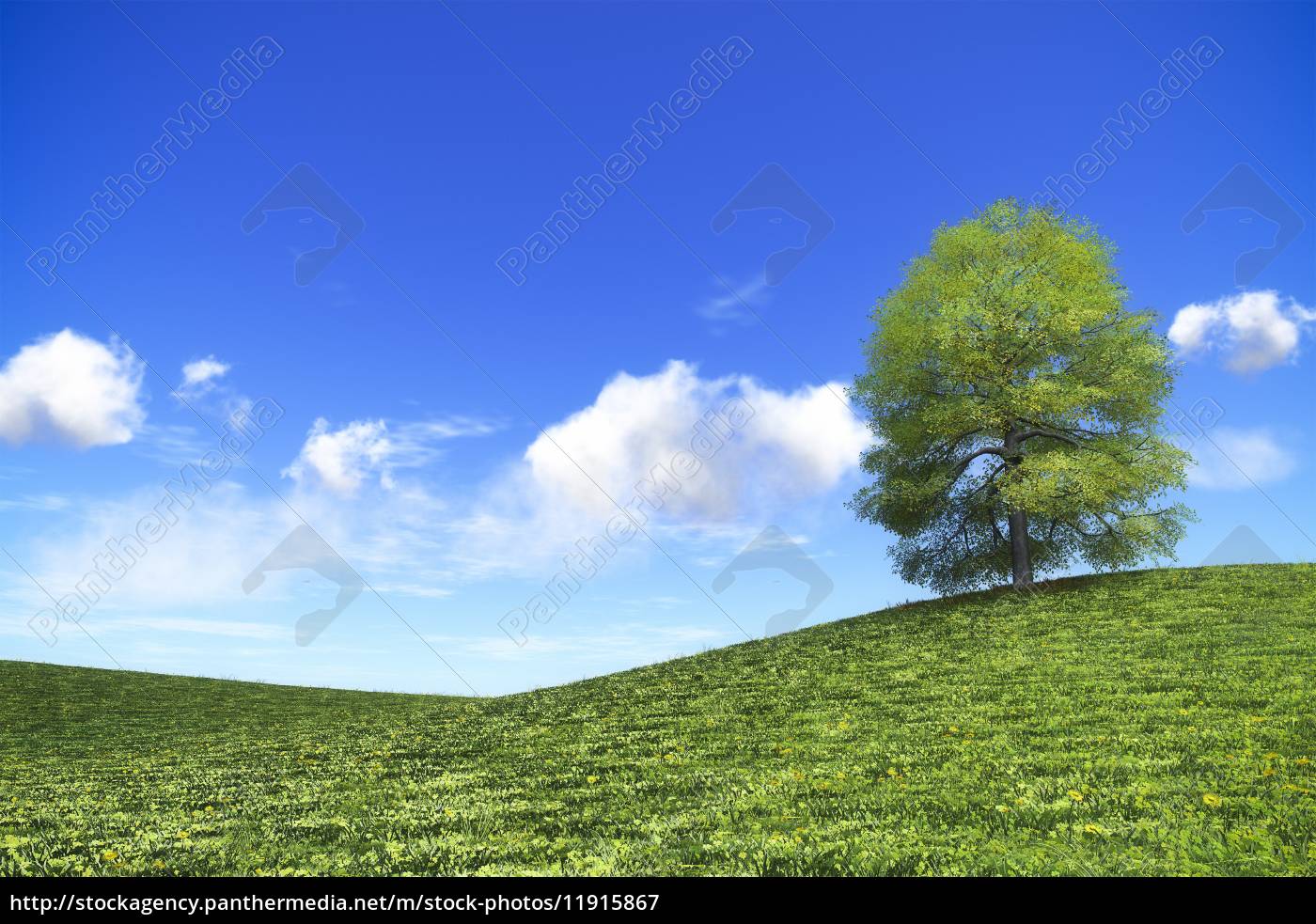 lichtblick in der natur - Lizenzfreies Bild - #11915867 | Bildagentur ...