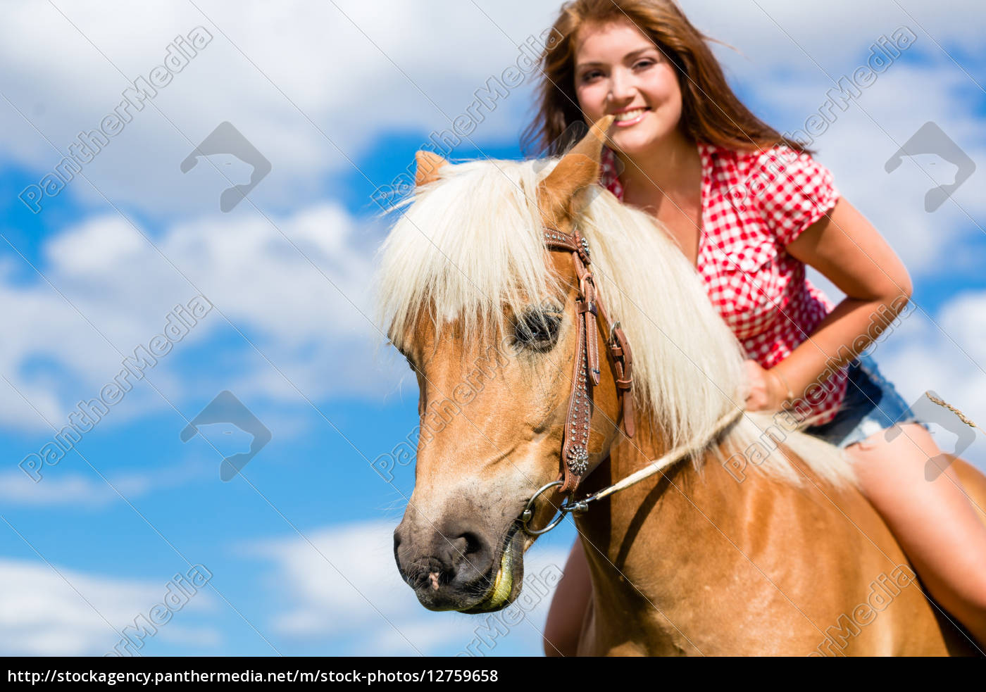 Frau auf pferd bilder