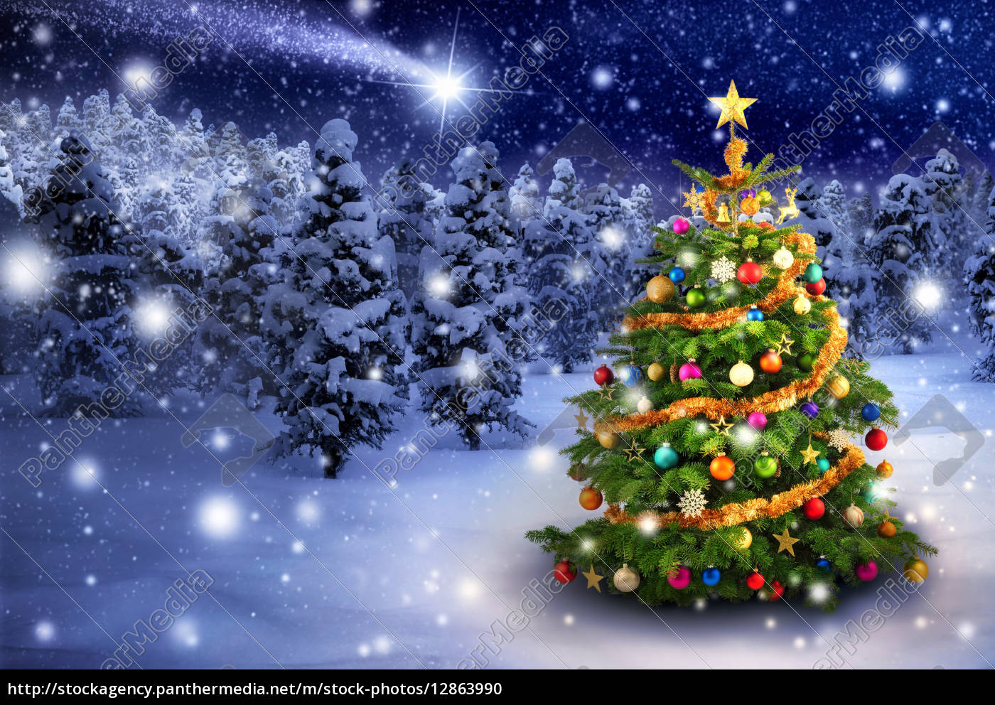 Weihnachtsbaum in verschneiter Nacht - Stock Photo - #12863990