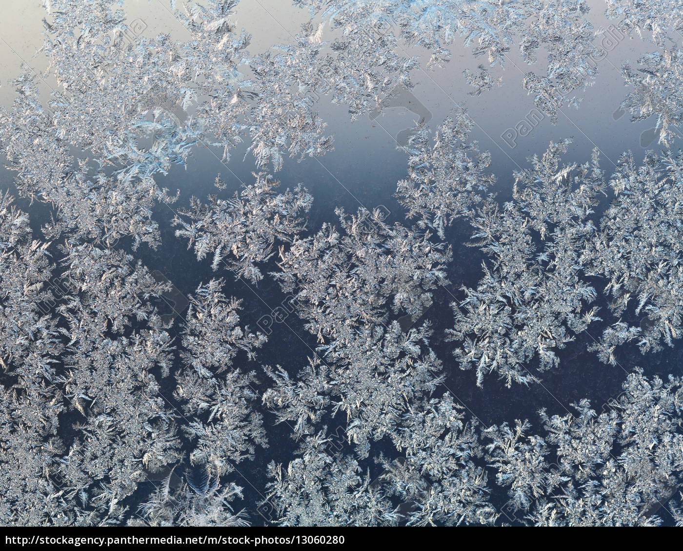 schneeflocken auf fensterscheibe im frühen winter