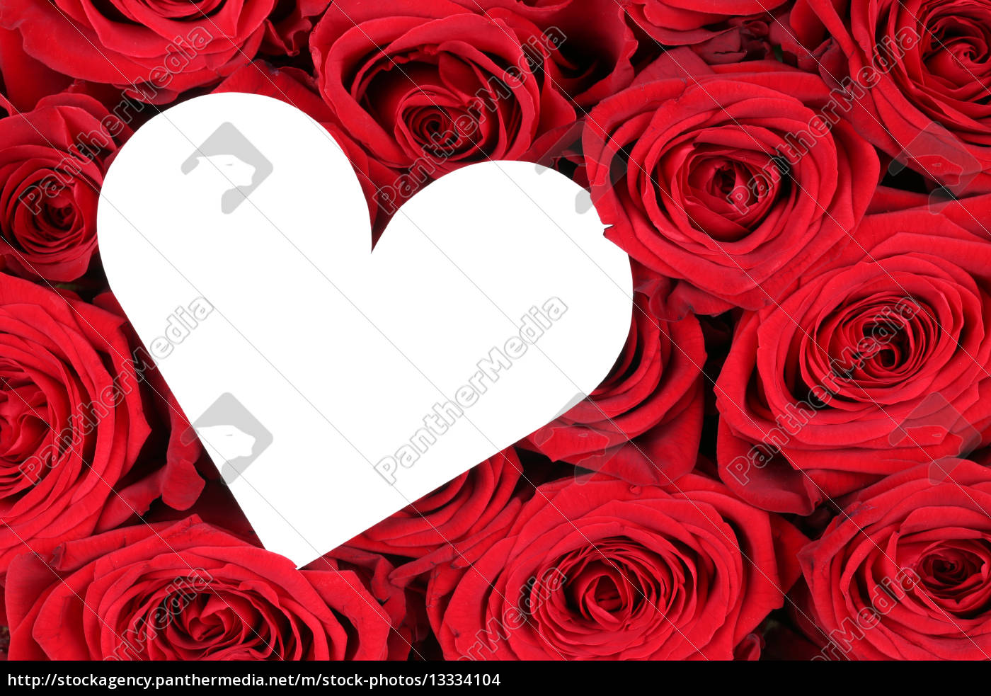 Rote Rosen Mit Herz Als Zeichen Der Liebe Zum Lizenzfreies Foto Bildagentur Panthermedia
