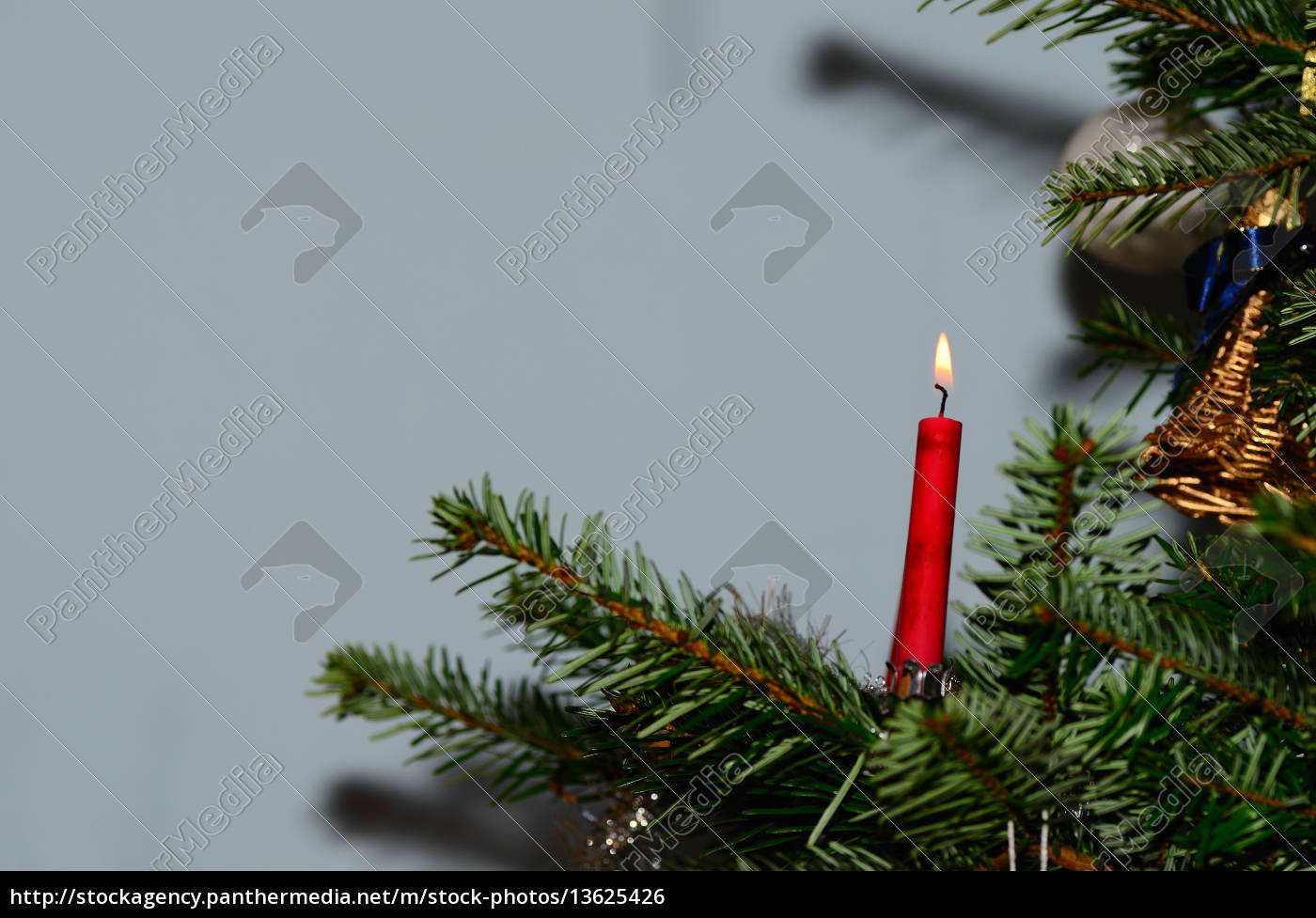 Brennende Kerze Am Weihnachtsbaum - Lizenzpflichtiges Bild - #13625426 |  Bildagentur Panthermedia