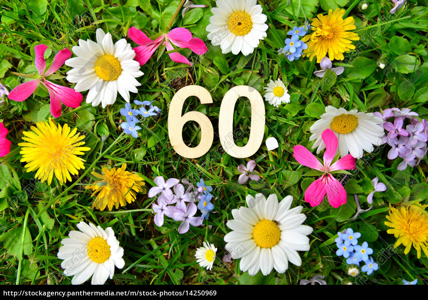 60 Geburtstag Zahlen - Stockfoto - #14250969 | Bildagentur ...