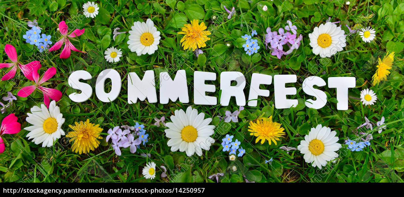 Sommerfest Text auf Blumen Wiese Stockfoto 14250957 Bildagentur