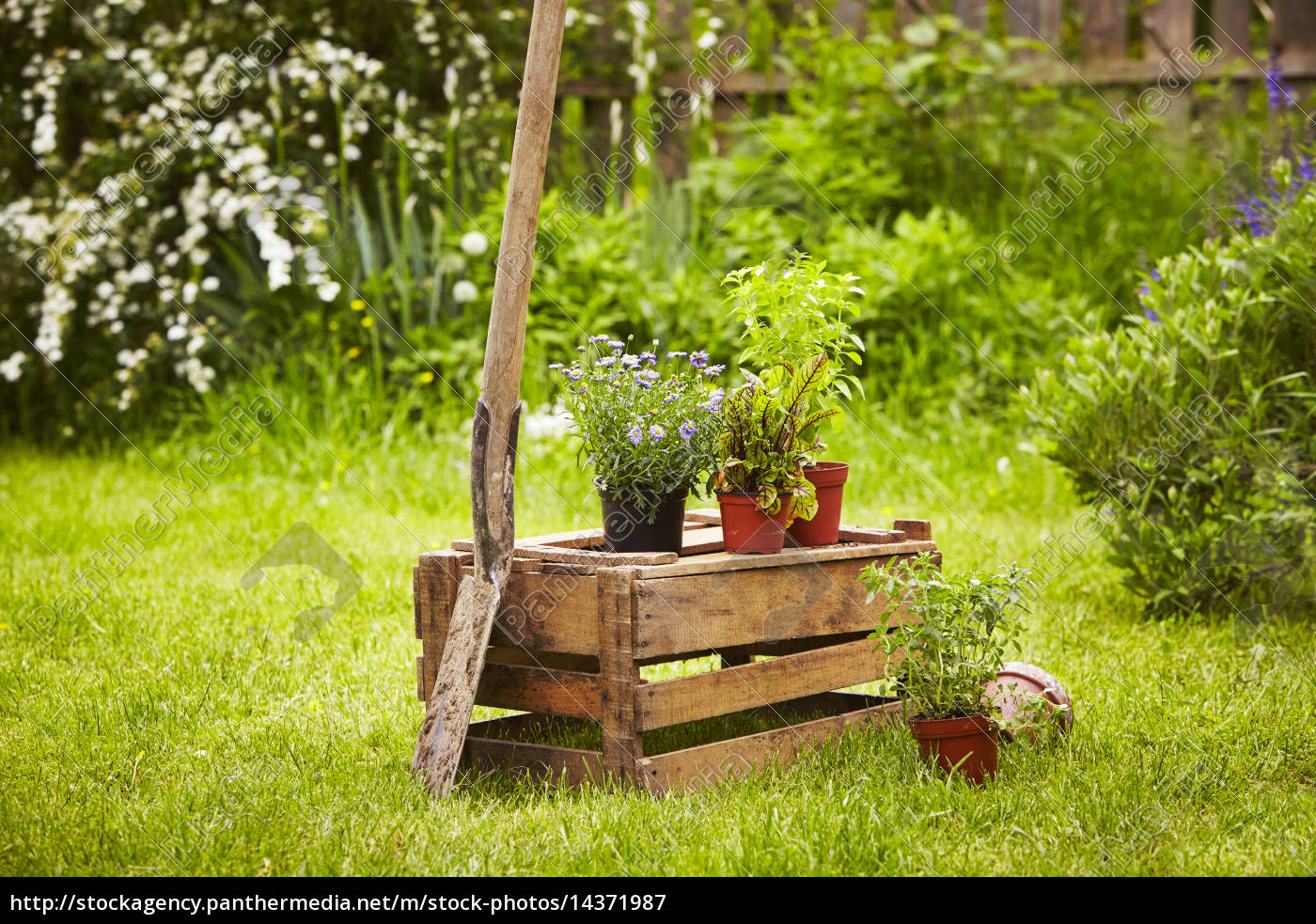 Holzkiste Spaten Strohut Garten Lizenzfreies Bild 14371987 Bildagentur Panthermedia