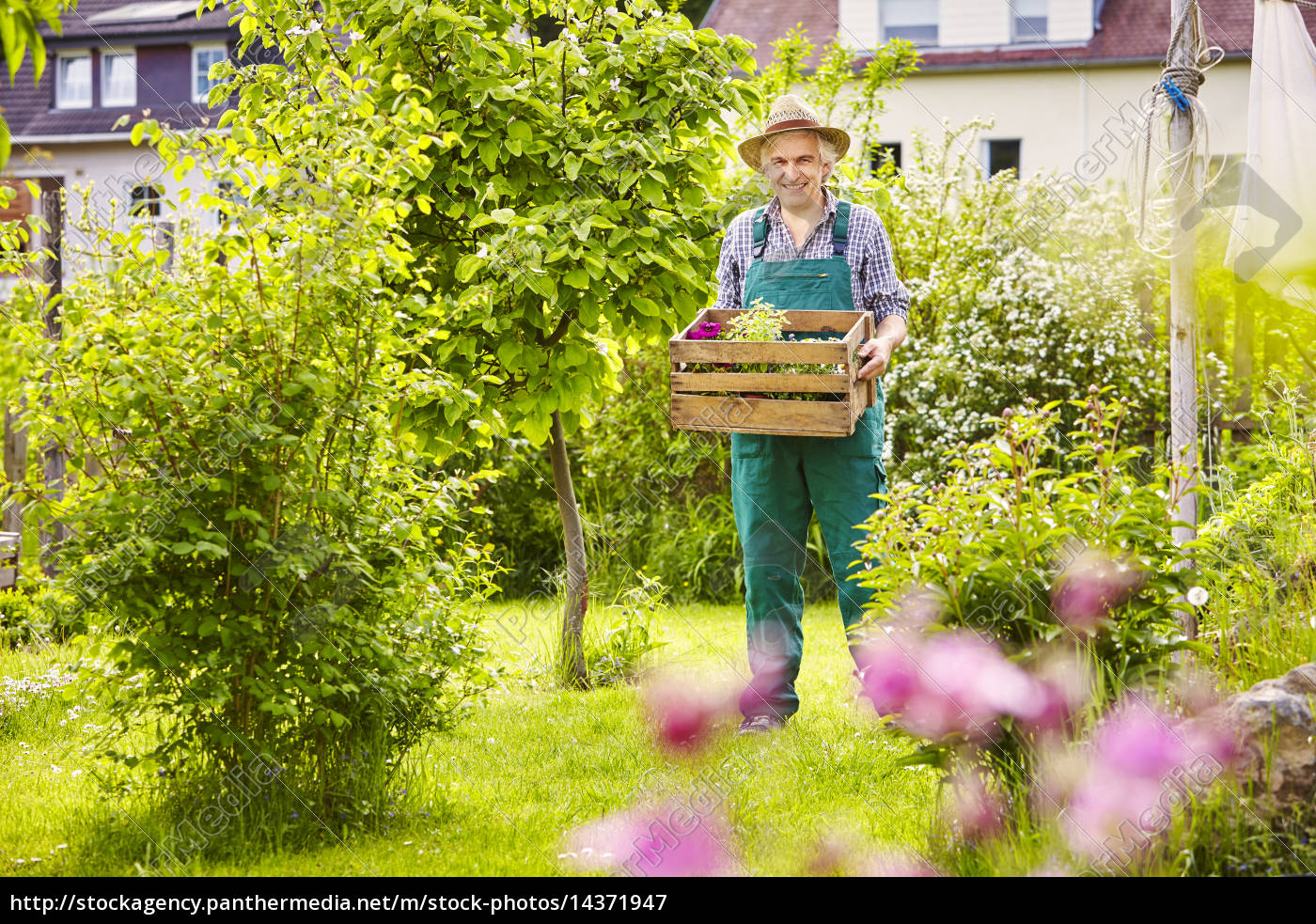 Garten Gärtner Strohhut tragen Kiste Pflanzen Stockfoto