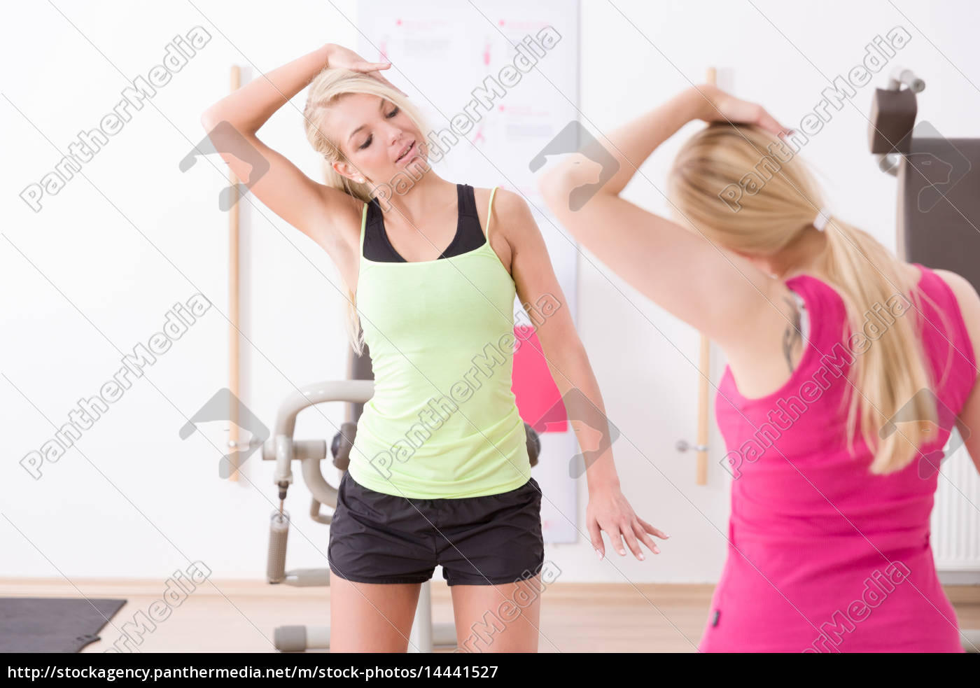 Junge Frauen machen Sportübungen im Fitnessstudio Lizenzfreies Bild 14441527 Bildagentur