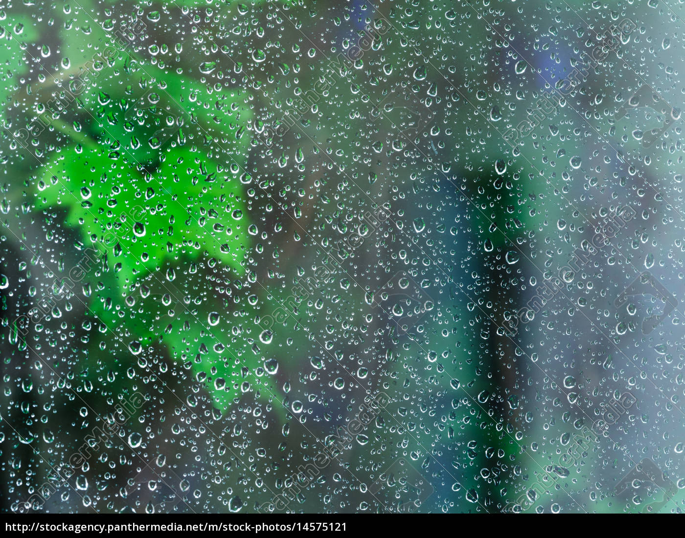 Regentropfen Auf Fensterglas Bei Nachtlichem Regen Lizenzfreies Bild Bildagentur Panthermedia