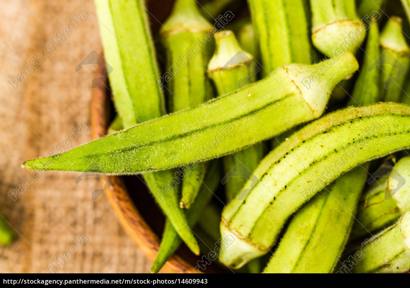 Grune Okra Gemuse Stockfoto 14609943 Bildagentur Panthermedia