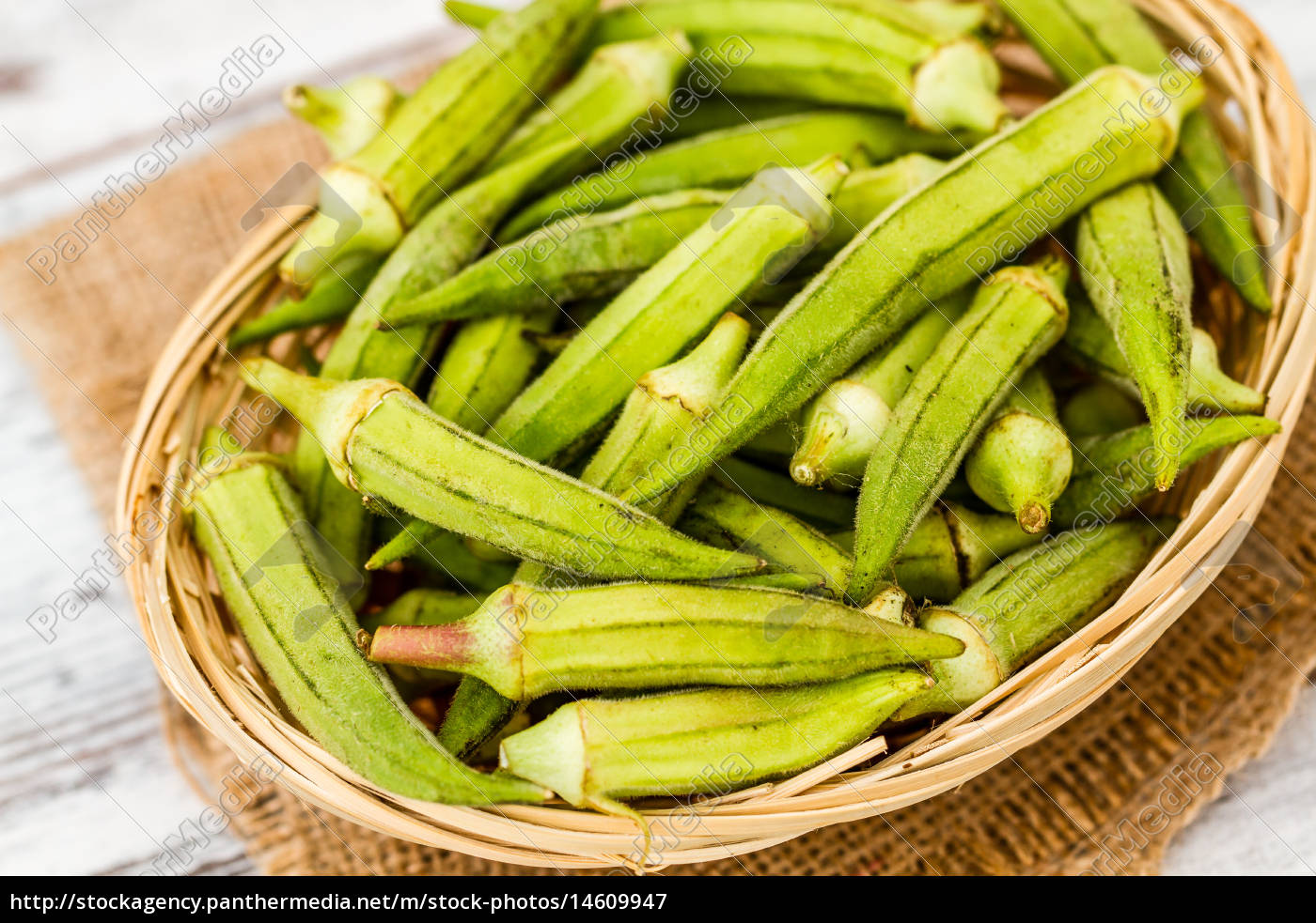 Grune Okra Gemuse Lizenzfreies Bild 14609947 Bildagentur Panthermedia