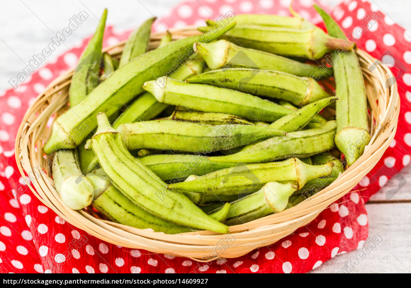 Grune Okra Gemuse Lizenzfreies Bild 14609927 Bildagentur Panthermedia