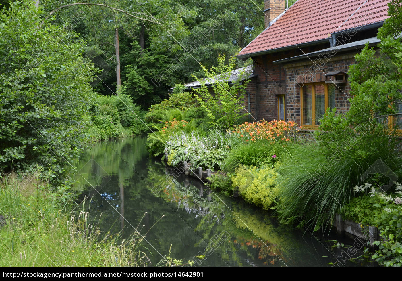 Haus An Einem Fliess Im Spreewald Lubbenau Stockfoto 14642901