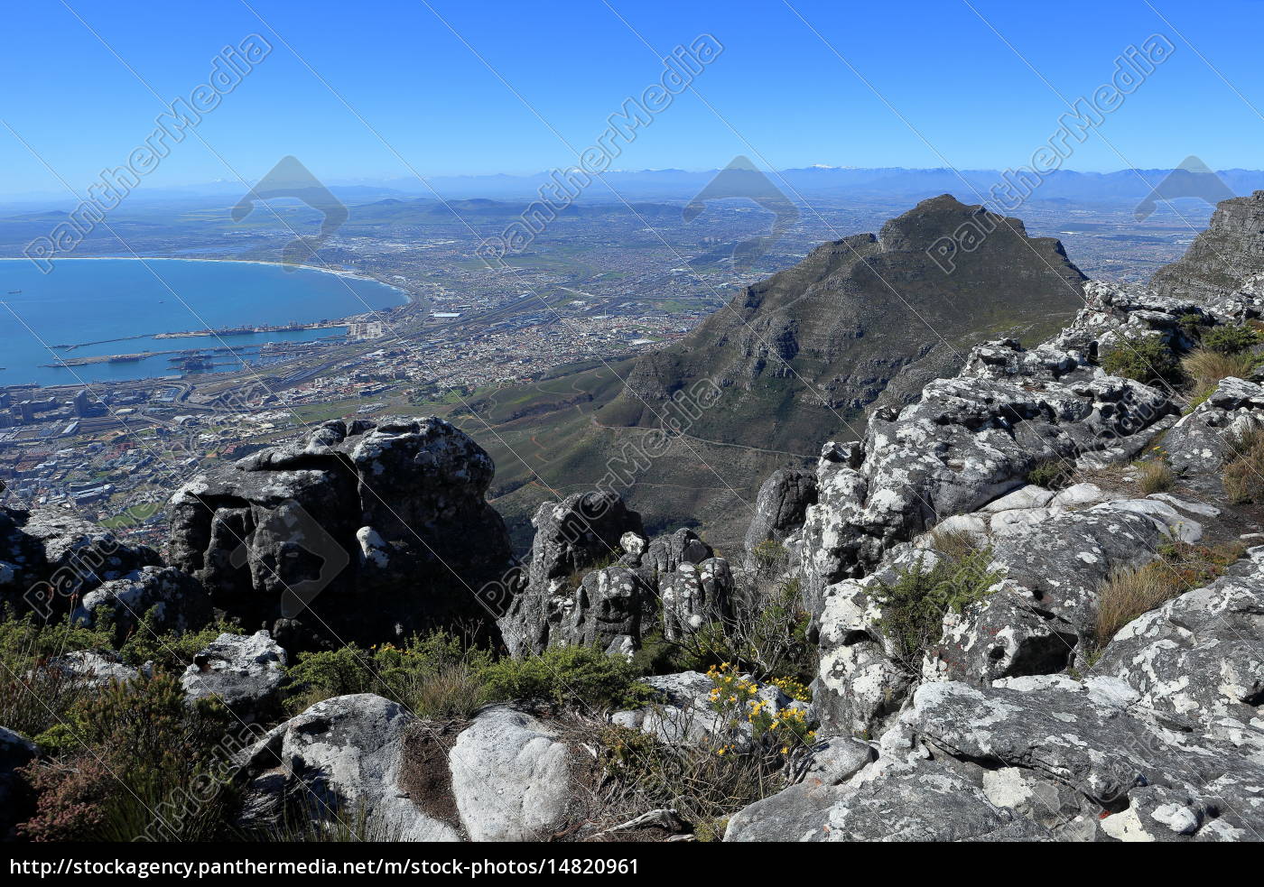 Der Tafelberg Bei Kapstadt In Sudafrika Lizenzfreies Bild Bildagentur Panthermedia