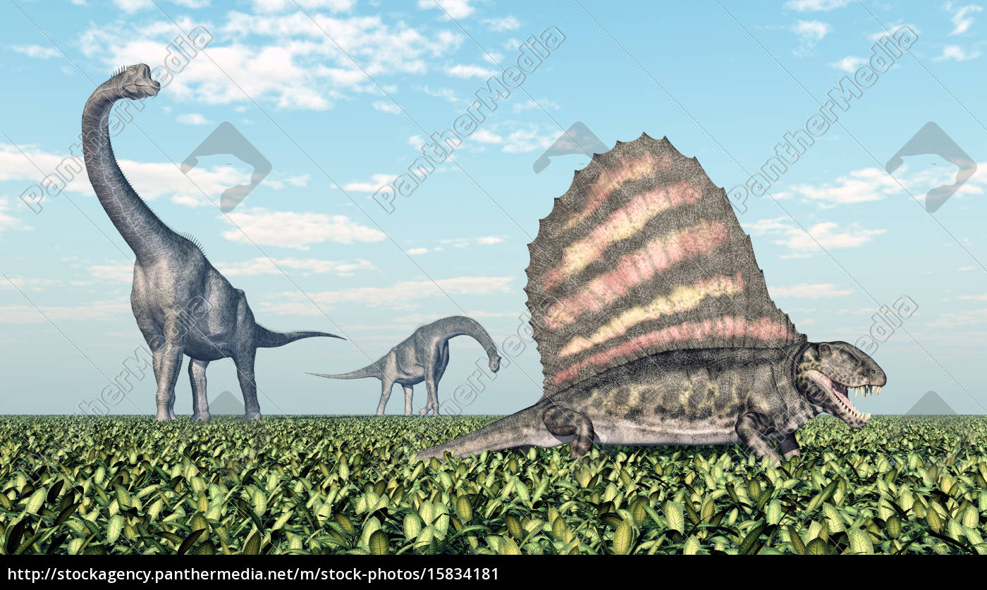 Brachiosaurus Und Dimetrodon Lizenzfreies Bild 15834181 Bildagentur Panthermedia