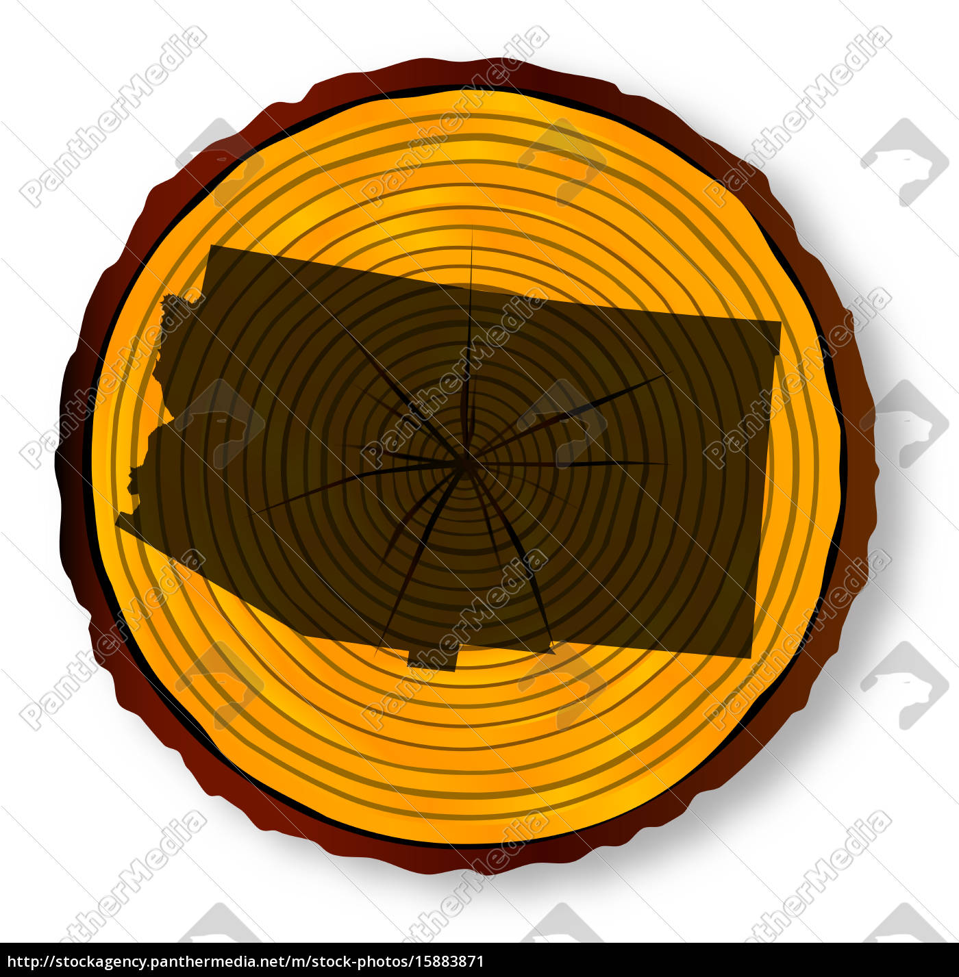 Arizona Map On Timber End Section - Lizenzfreies Bild - #15883871