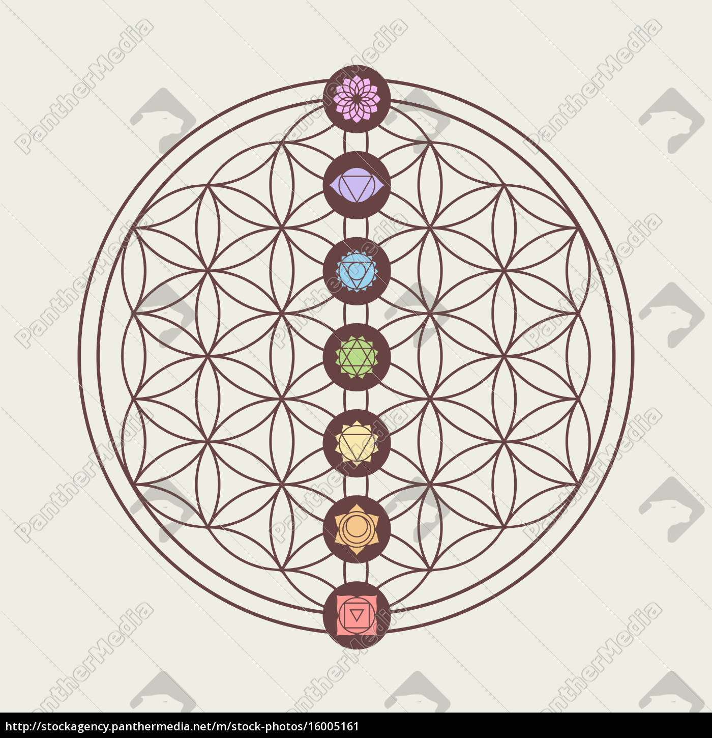 Chakra Symbole Auf Heilige Geometrie Design Lizenzfreies Bild 16005161 Bildagentur Panthermedia