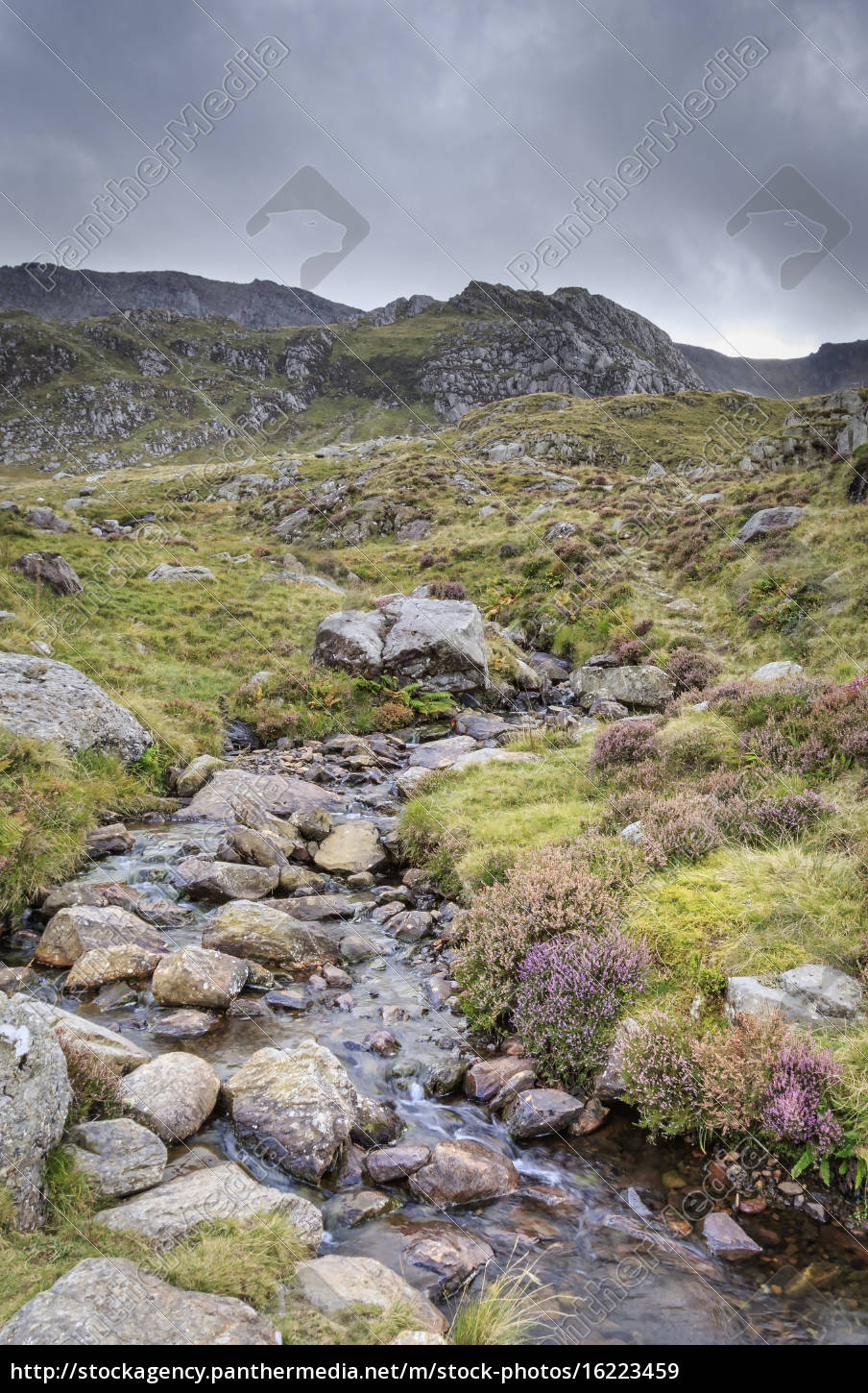 snowdonia Nationalpark Lizenzfreies Bild 16223459 Bildagentur