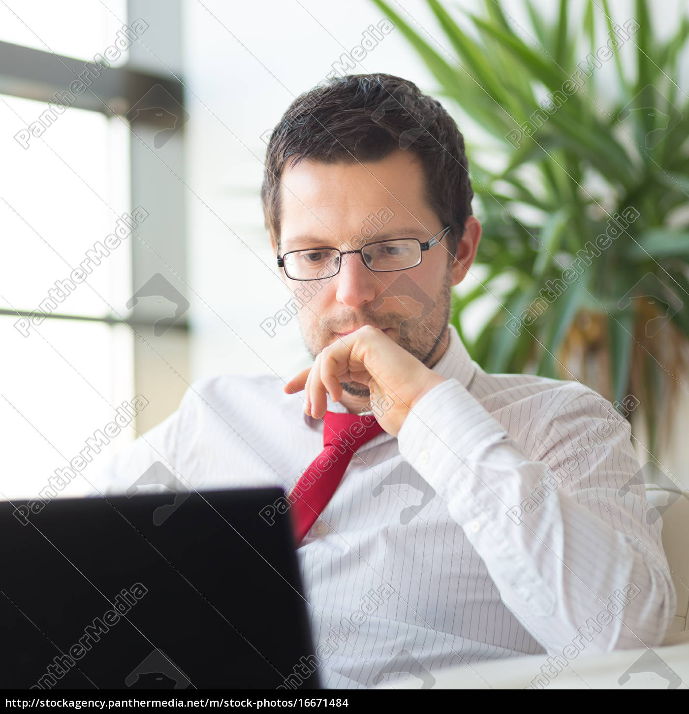 Geschäftsmann Im Büro Lesen Auf Laptop Computer Lizenzfreies Foto 16671484 Bildagentur