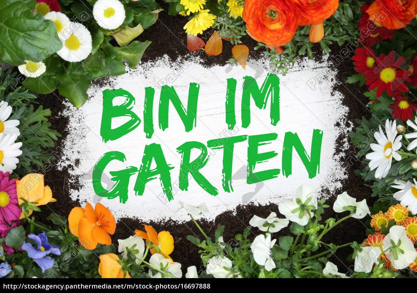 Welche Blume Bin Ich - Rafinovier