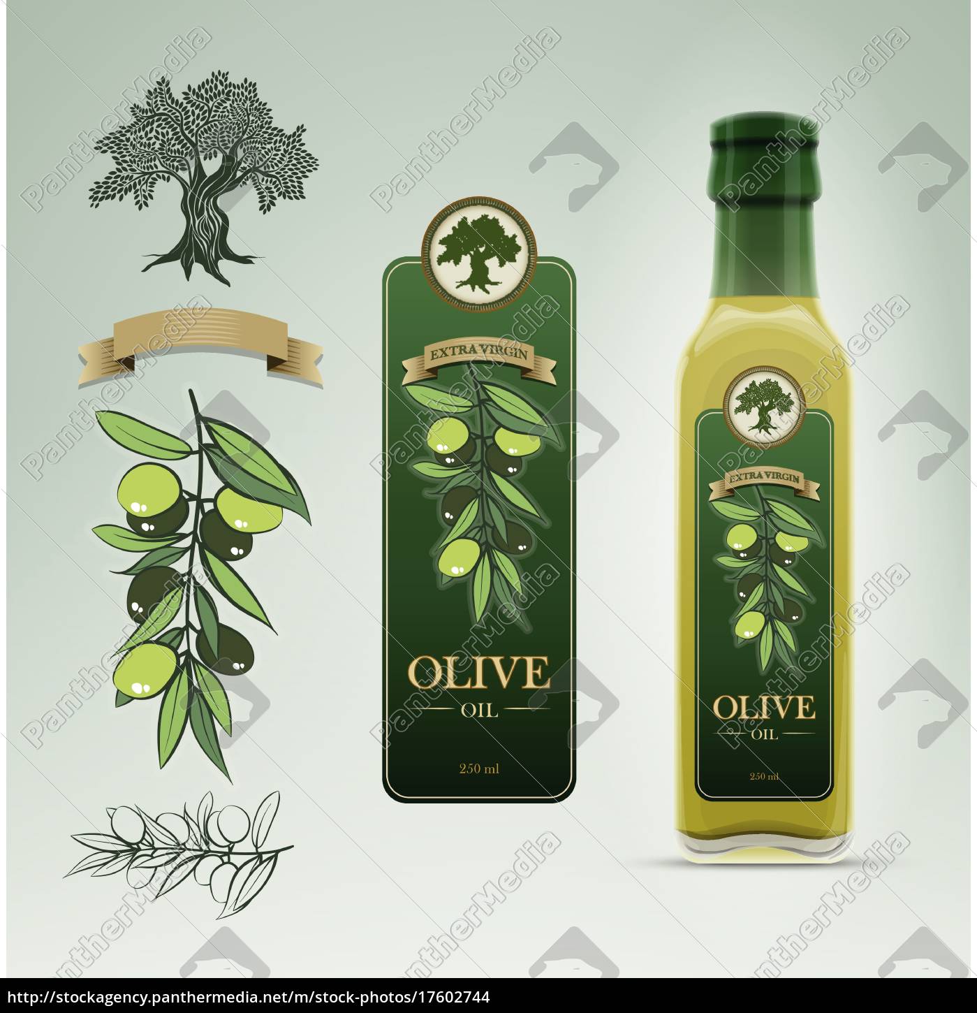 Glasol Oliven Flasche Und Etiketten Design Vorlage Lizenzfreies Foto 17602744 Bildagentur Panthermedia