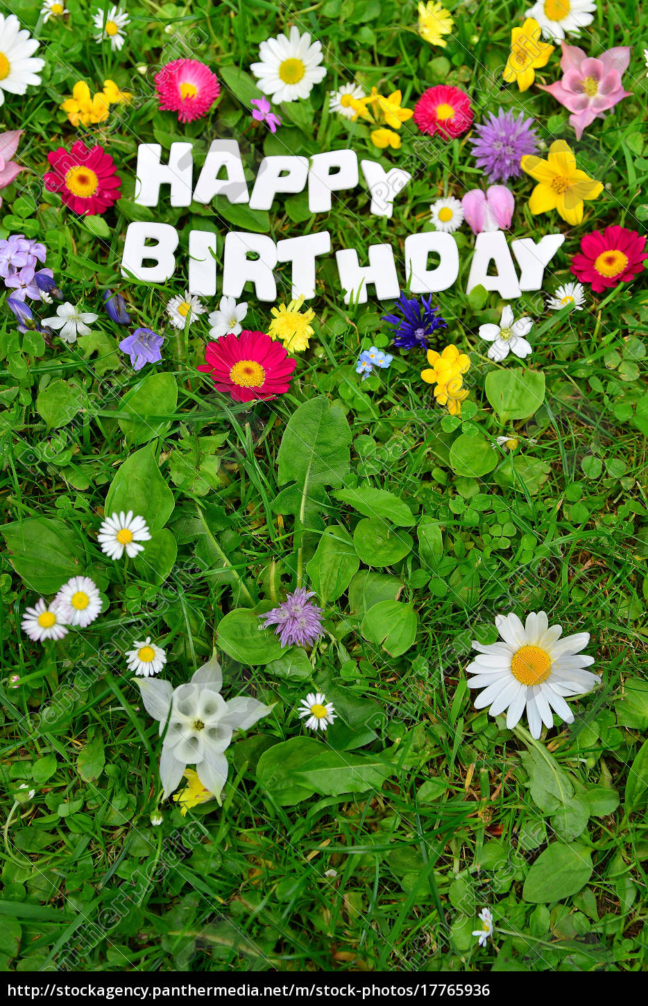 Lizenzfreies Foto 17765936 Happy Birthday Text Auf Bunter Blumen Wiese