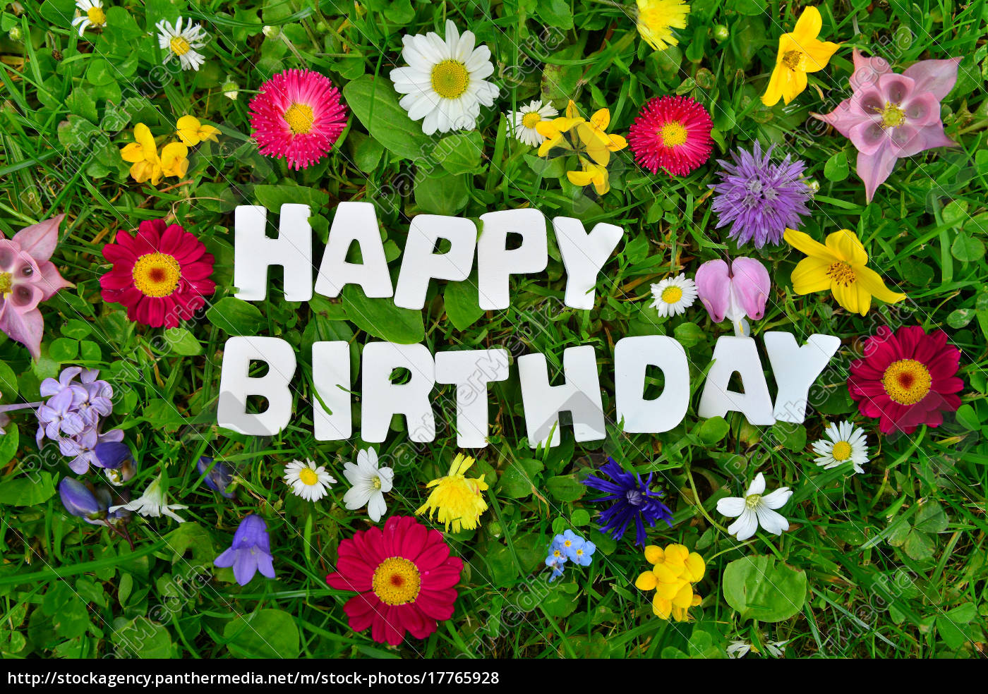 45++ Happy birthday bilder blumen , Happy Birthday Text auf bunter Blumen Wiese Lizenzfreies Foto