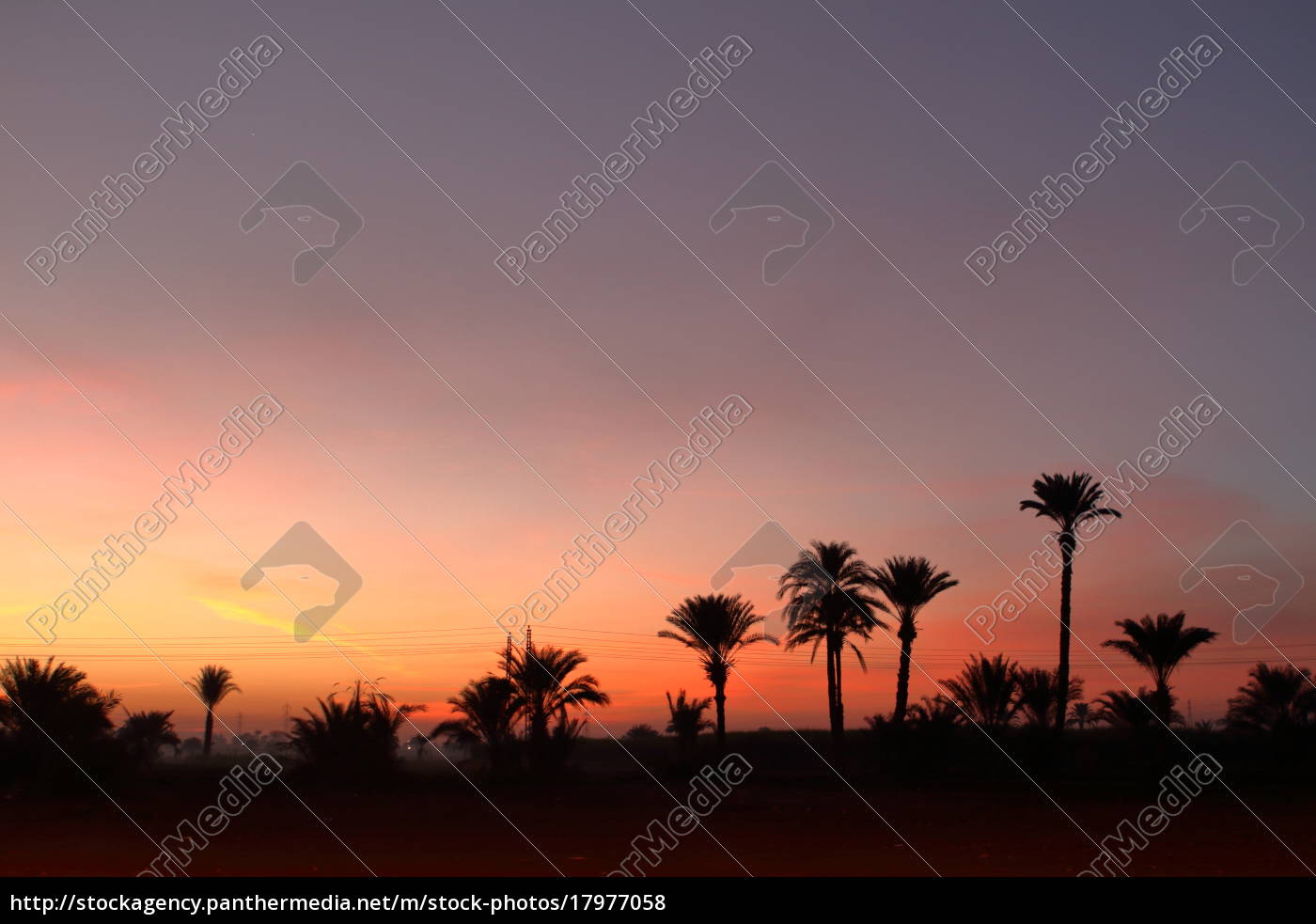 Sonnenuntergang In Der Sahara Von Agypten Stock Photo Bildagentur Panthermedia