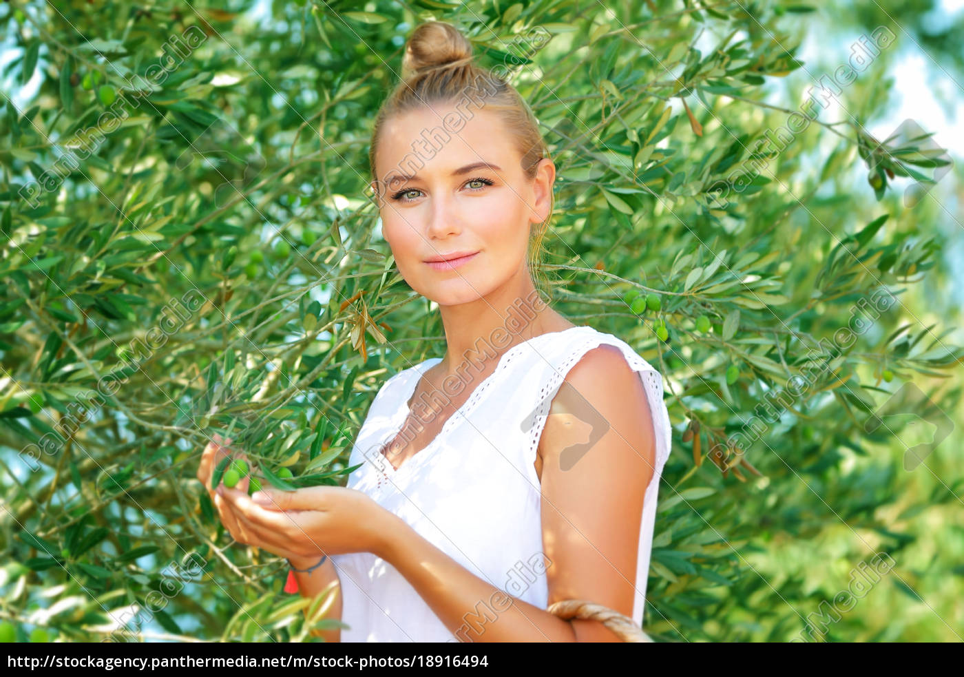 schönes mädchen im garten mit olivenbäumen - Stockfoto - #18916494