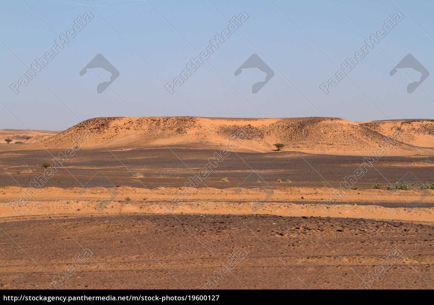 Die Wuste Sahara Im Sudan In Afrika Lizenzfreies Bild Bildagentur Panthermedia