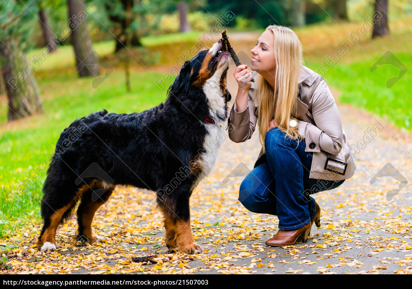 Frau Und Hund Beim Abrufen Des Stockspiels Stockfoto 21507003 Bildagentur Panthermedia