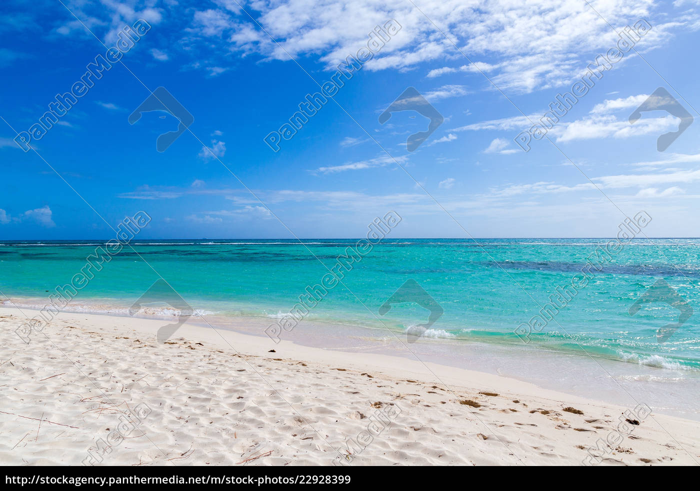 Punta Cana Bavaro Strand Dominikanische Republik Lizenzfreies Bild Bildagentur Panthermedia