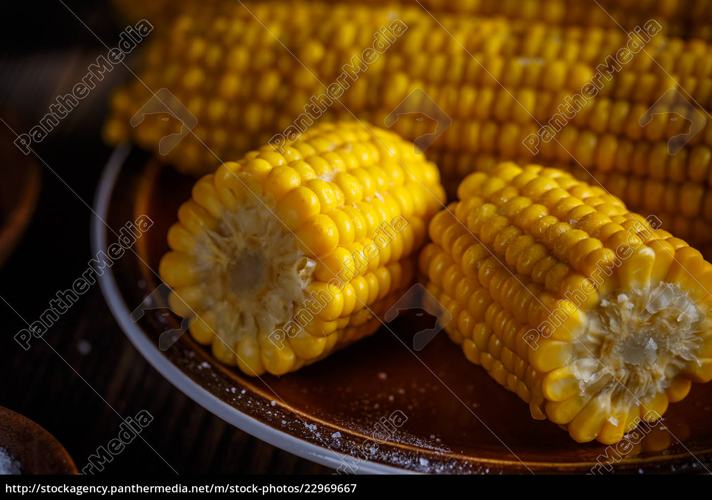 süßer gekochter mais - Lizenzfreies Bild - #22969667 | Bildagentur ...